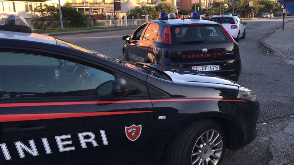 Ameno, scoperta serra per stupefacenti. Un arresto