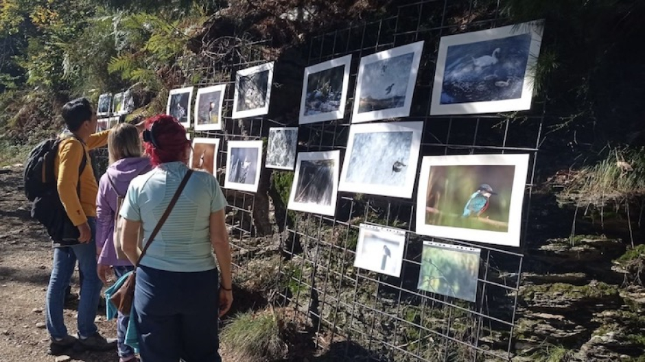 Fosseno, ottima riuscita dell'evento 