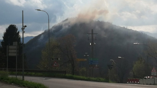 Miasino, incendio boschivo alla frazione Carcegna. Fotogallery