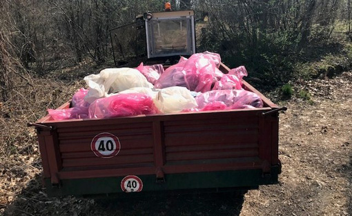 Buona partecipazione alla giornata ecologica di Invorio