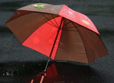Bogogno, serata sulla meteorologia
