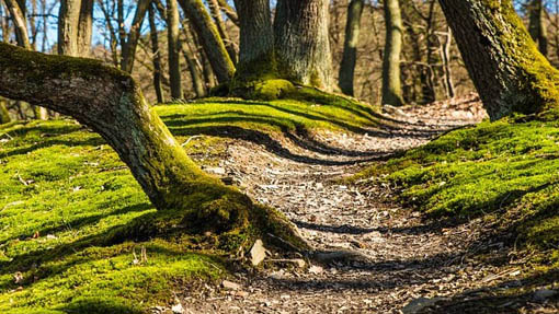 Invorio, tanti gli appuntamenti della "settimana green"