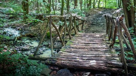 Anche l'organizzazione Vagaboschi al Raduno Nazionale per l'Educazione in Natura