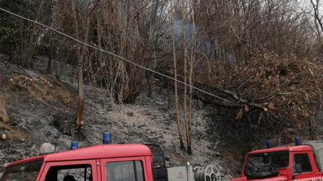 Incendio in un bosco di Armeno