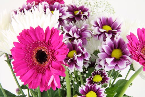 Contrasto alle vendite abusive: sequestrati 150 mazzi di fiori