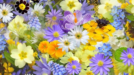 La primavera "sboccia" nel fine settimana con "Fiorissimo al Castello"