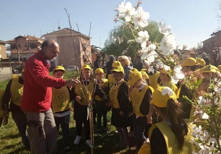 Un "frutteto sociale" nel parco di via Cefalonia
