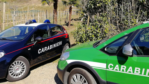 Ghemme, una denuncia per incendio boschivo colposo