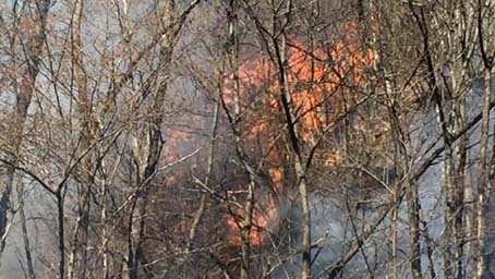 Incendio boschivo fra Gozzano, Bolzano e Invorio