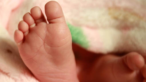 Al via la nuova edizione del corso "FIgli si nasce...Papà si diventa"