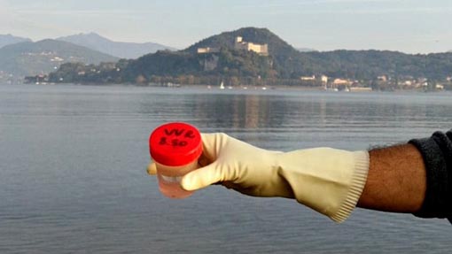 Legambiente: ancora inquinamento alla foce del Vevera