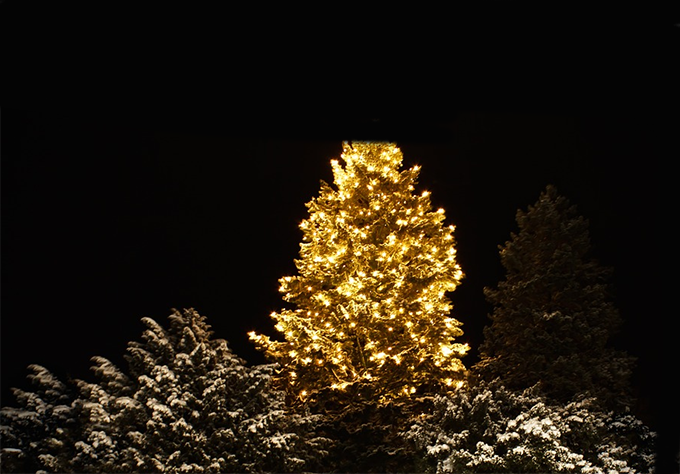 Grande attesa per l'accensione dell'albero 2017
