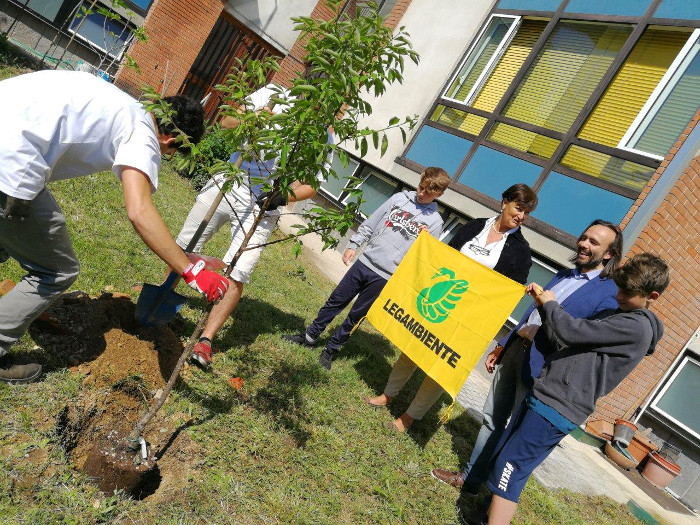 "Alberi per il futuro": nuova piantumazione alla Giovanni XXIII