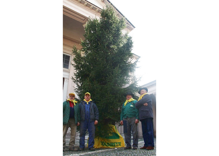 I pensionati di Coldiretti hanno regalato un albero di Natale in Duomo