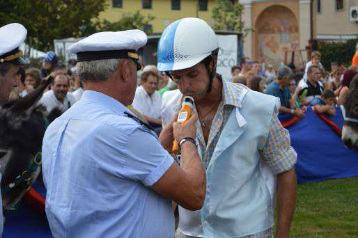 Palio degli Asini e Miss Lago Maggiore domenica alla Festa dell'Uva