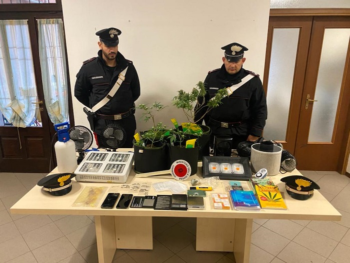 Carabinieri di Serravalle scoprono spacciatore-coltivatore di droga a Romagnano