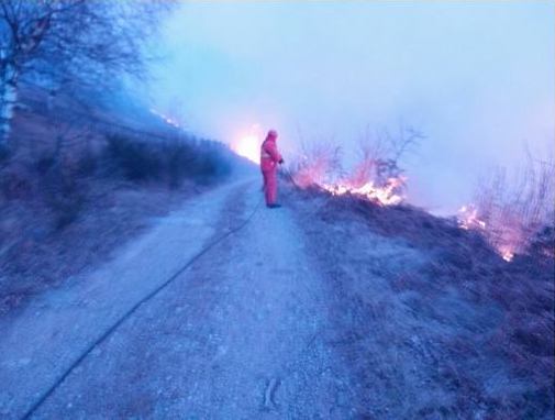 Brucia le sterpaglie e dà fuoco al bosco: multato e denunciato