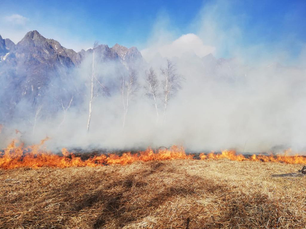 Manutenzione del bosco per prevenire gli incendi: Uncem chiede al governo 100milioni l'anno