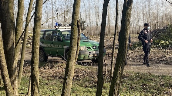 Contrasto al bracconaggio, sequestro di una gabbia per cattura ungulati a Massino Visconti