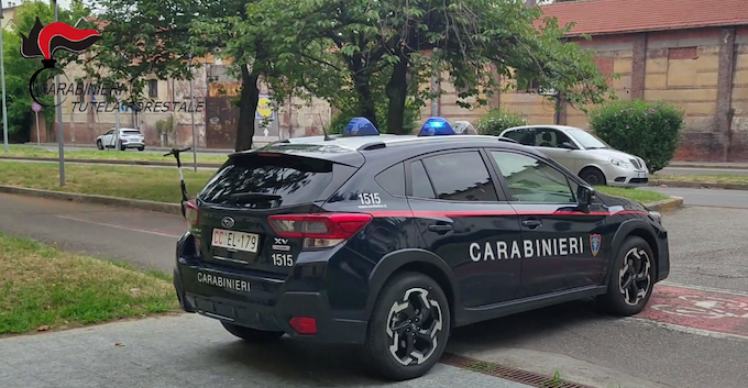  Borgomanero, macellazione clandestina nei boschi: due persone denunciate