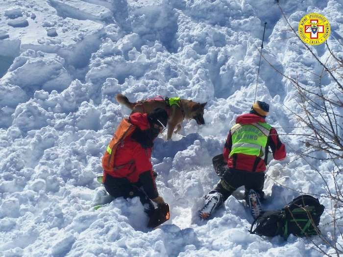 Neve in arrivo,: entrano in servizio i cani da valanga del Soccorso Alpino e Speleologico Piemontese 