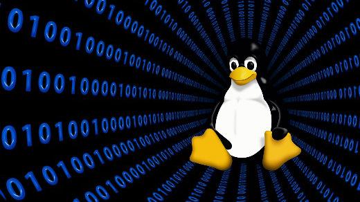 Linux Day: evento anche a Novara