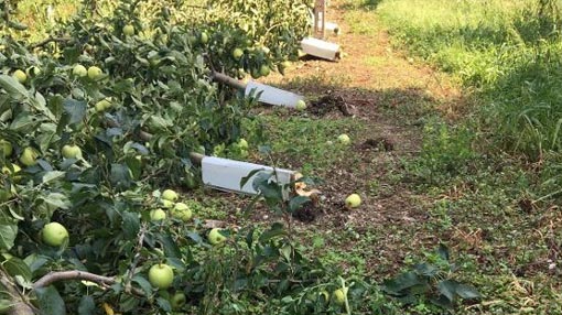  Coldiretti Novara Vco: "Gravi danni alle aziende agricole a Nebbiuno e non solo"