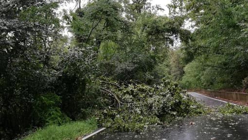 Violento temporale sull'Aronese: alberi caduti, allagamenti e ferrovia interrotta