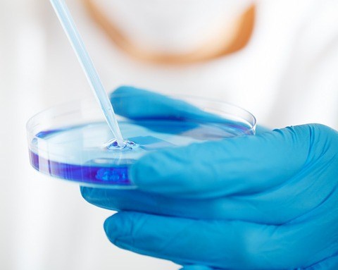 Novara in aiuto del piccolo Gabriele per cercare un donatore di midollo compatibile