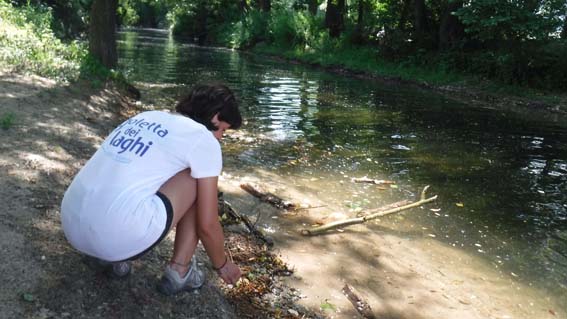 Goletta dei Laghi: i risultati dei campionamenti sul lago Maggiore