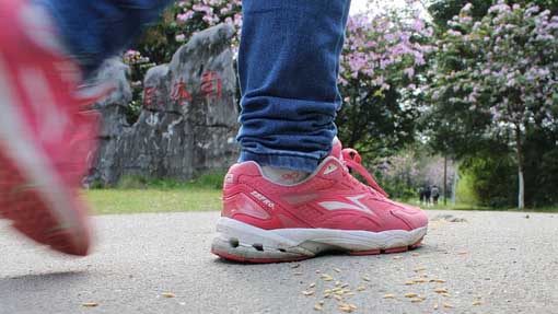 Soroptimist Alto Novarese: due camminate  per la prevenzione delle patologie cardiovascolari