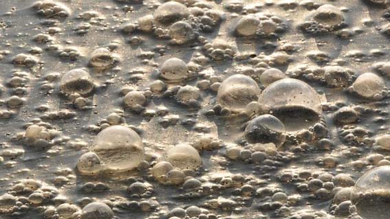 Lesa, interpellanza sull'inquinamento dei corsi d'acqua