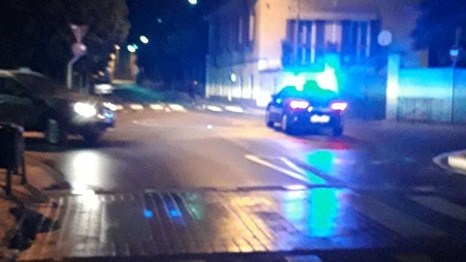 Mucca in fuga fra Arona e Meina: abbattuta