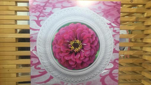 Inaugurata la mostra "Coloriamo l'Hospice - Il cielo in una stanza"