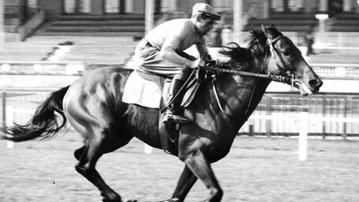  La vita di Ribot in uno spettacolo a Villa Cucchetta