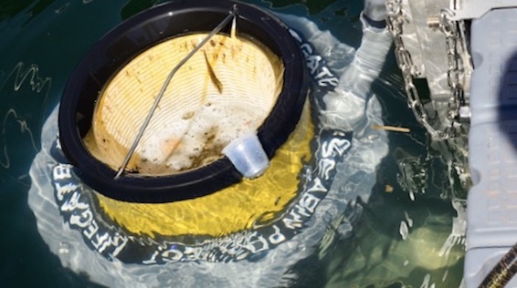Lesa, presentata la campagna "Le nostre acque" di Coop. Collocato un seabin nel lago