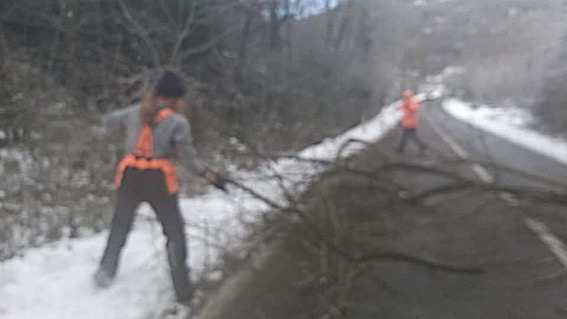  Arona, attesa neve: volontari Aib intervenuti dove le piante potrebbero creare problemi