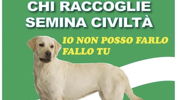 Mezzomerico: installati i cestini per la raccolta delle deiezioni canine