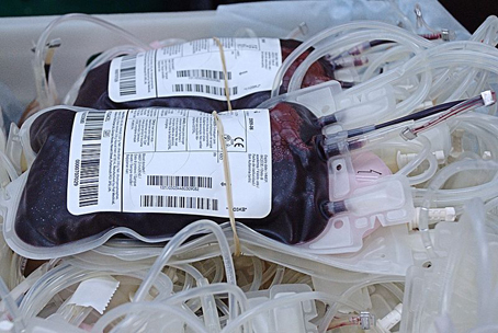 Lesa, il 26 gennaio la prima donazione Avis del 2020