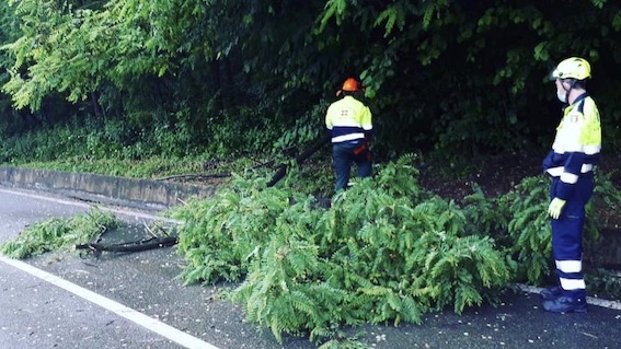  Marano Ticino, rami caduti sulla strada in località Costa Cavaiago