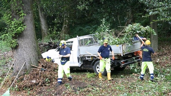 Massino Visconti: esercitazione-giornata ecologica per il gruppo  comunale di Protezione Civile