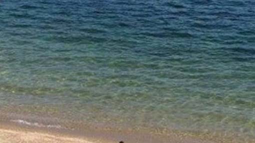 Accesso alla spiaggia libera delle Rocchette: presentata un'interrogazione