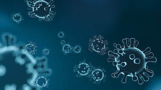 Lesa, il sindaco comunica un caso positivo di coranavirus