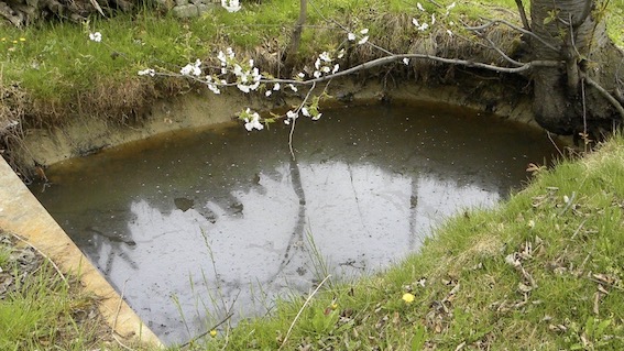 Progetto "Aretè": recuperate sette bose nell'area MAB UNESCO “Ticino Val Grande Verbano”
