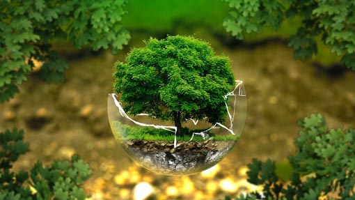 Invorio, progetto "Un albero per bimbo"