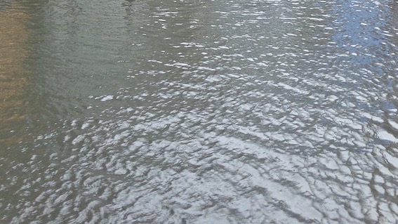 Arona: avviso per la comunicazione dei danni provocati dall'alluvione