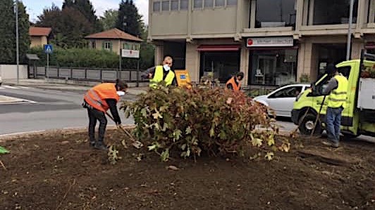 Arona, iniziata la collaborazione di alternanza scuola-lavoro con l’Istituto Cavallini di Lesa