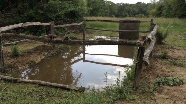 Progetto Aretè alla scoperta delle bose nelle Colline Novaresi patrimonio Mab Unesco