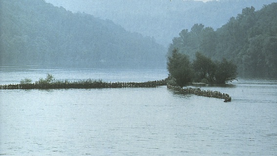 Castelletto Ticino, l'ultima peschiera fra i "Luoghi del cuore" del Fai