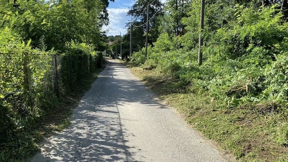 Arona, volontari Aib hanno ripulito alcune aree di Mercurago